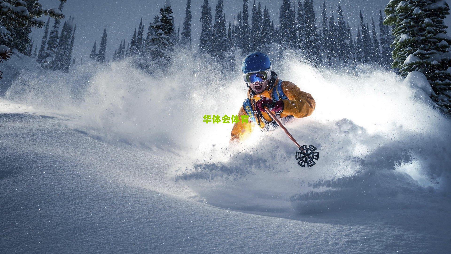 南北区票王尘埃落定,易建联林书豪领衔全明星首发,新老传奇交相辉映